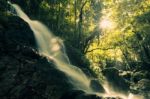 Kondalilla Falls In Kondalilla Falls National Park Stock Photo