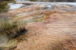 Mammoth Hot Springs Stock Photo