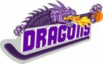 Dragon Fire Hockey Stick Basketball Retro Stock Photo