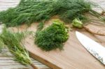 Dill Vegetable Ingredient Nature Organic Green Chopped Kitchen Stock Photo