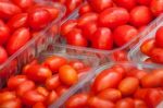 Tomatoes Stock Photo