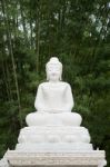 Marble Buddha Sculpture Under Green Bamboo Forest Background Stock Photo