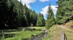 Forest In The Rhodope Mountain, Bulgaria Stock Photo