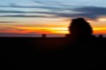 Trees And Sky With Blurred Images Stock Photo