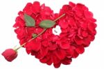 Red Rose Petals In Heart Shape With Rose Arrow And Diamond Ring Stock Photo