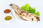 Grilled Salted Catfish Stock Photo