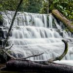 Liffey Falls In The Midlands Region, Tasmania Stock Photo