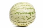 Green Watermelon Stock Photo