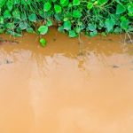 Background Of Muddy Water Reflection Of Grass In Water Stock Photo