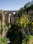 Ronda, Andalucia/spain - May 8 : View Of The New Bridge In Ronda Stock Photo