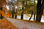 Autumn October Colorful Park. Foliage Trees Alley Stock Photo