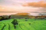 Rice Field On The Mountain Stock Photo