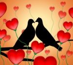 Love Birds Means Tenderness Wildlife And Compassion Stock Photo