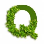 Letter Q With Leaves Stock Photo