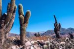 Colorful Valley Of Quebrada De Humahuaca, Central Andes Altiplan Stock Photo