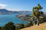 Otago Peninsula Stock Photo