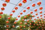 Chinese Paper Lantern Stock Photo