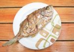 Fried Fish On Dish Stock Photo