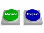 Novice Expert Buttons Shows Beginner And Expertise Stock Photo