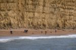 Jurassic Coastline At Lyme Regis Stock Photo