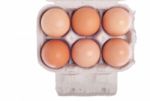 Eggs In Carton Stock Photo