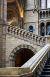 Staircase At The Natural History Museum In London Stock Photo