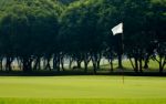 Flag On Grass Field In Golf Course Stock Photo