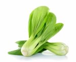 Bok Choy Vegetable Isolated On The White Background Stock Photo