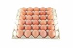 Egg In Carton Stock Photo