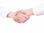 Handshaking Female Hands On White Stock Photo