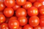 Cherry Tomatoes Stock Photo