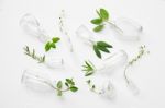 Top View, Bottle Of Essential Oil With Herbs Stock Photo