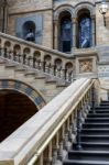 Staircase At The Natural History Museum In London Stock Photo