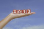 2013 On Palm Stock Photo