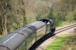 Steam Train On The Bluebell Railway Line In Sussex Stock Photo