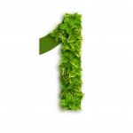 Alphabet Number 1 With Leaves Stock Photo