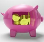 Dollars In Piggy Shows Rich American Fortune Stock Photo