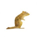 Abstract Squirrel Isolated On A White Backgrounds Stock Photo