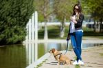 Beautiful Young Woman With Her Dog Using Mobile Phone Stock Photo