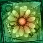 Floral Copyspace Shows Flower Boundary And Frame Stock Photo