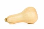 Butternut Squash Isolated Stock Photo