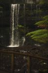 Russell Falls In Mount Field National Park Stock Photo