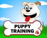 Puppy Training Represents Instruction Trainers And Canine Stock Photo