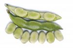 Broad Beans Stock Photo