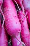 Organic Fresh Rurple Radish Up Close Stock Photo