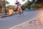 Man Is Cycling In Park Stock Photo