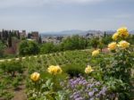 Granada, Andalucia/spain - May 7 : View Of The Alhambra Palace G Stock Photo