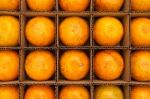 Oranges In Cardboard Box Stock Photo