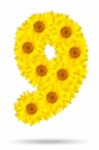 Number 9 Made Of Sunflower Stock Photo