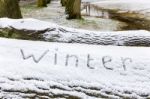 Word Winter Written In Snow On Oak Tree Trunk Stock Photo